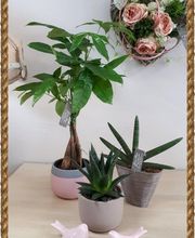 Laurence Parlant.Gane-Fleuriste image 5