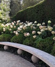 SULA Gartenbau GmbH Bild 3