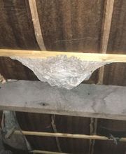 Desinsectisation Service image 2