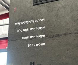 228617551-1-5kQEL8Zf8b1785486922297.jpeg