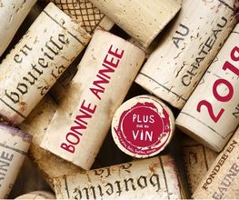 Plus Que du Vin image 10