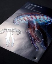 Vetter Druck AG Bild 7