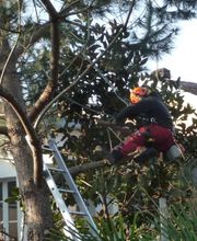 A Fleur d'Ecorce EURL image 10