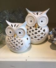 Nesemann GmbH Bild 2