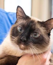 Belton Animal Clinic & Exotic Care Center image 1