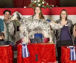 Hundesalon Pet Cut's Bild 6