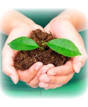 Verde Gartenbau Meisterbetrieb, Philipp E. Seeger Bild 1