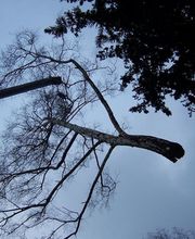 Kleine-Boymann GmbH Bild 5