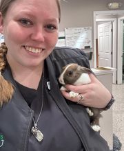 The Pet Wellness Group: Florence image 14