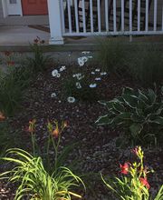 A Cut Above Landscape image 4