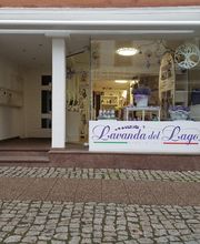 dein-Lebensbaum Bild 1