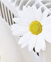 Colas Fleury image 1