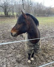 Les Ecuries De Mury image 2