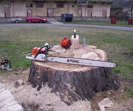 Baumdienst Harzer Bild 3