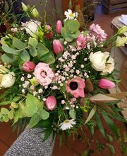 Wiedmer-Blumen AG Bild 6