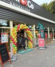 Tom&Co Lens image 18