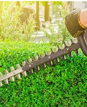 Elagage Clément image 4