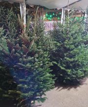 Aux Relooking image 13