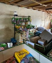 Landi Plateau de Diesse Bild 2