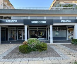 Acadomia image 2