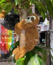 Animalis Rouen image 1