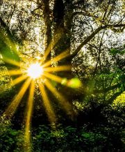 Montel Amély- magnétiseur - Thérapeute Energéticienne image 1