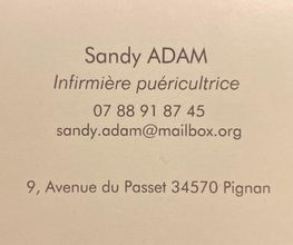Adam Sandy image 1