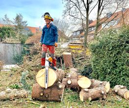 Baumkonzept GmbH Bild 7