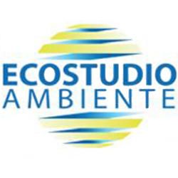 Ecostudio Ambiente SRL logo