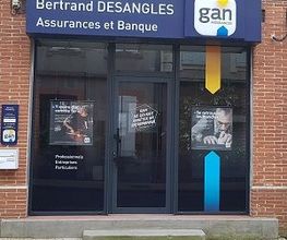 Bertrand DESANGLES image 2