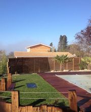 Ribera Olivier Paysages image 14