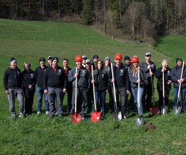 Hans Sommer GmbH Bild 1