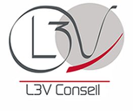 L3V Conseil image 1