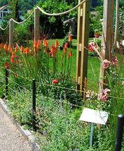 Graf und Zwahlen AG Bild 9