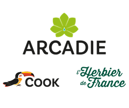 Arcadie image 2