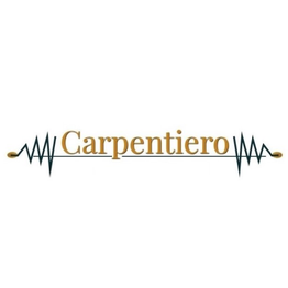 Carpentiero Materiale Elettrico logo