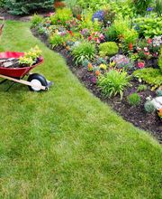 Dürig Gartenbau Bild 4