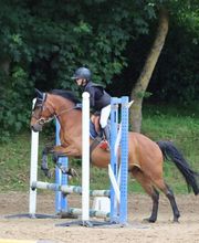 La Renarderie Equitation image 3
