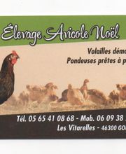 Vitarelles Bass Scea image 2