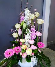 Terre De Couleurs image 6