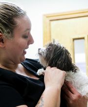 Palmetto Animal Hospital image 10