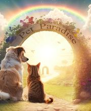 Paradiso Quattro Zampe immagine 1