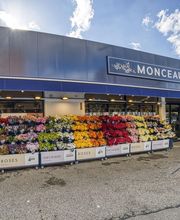 Monceau Fleurs Rocade image 8