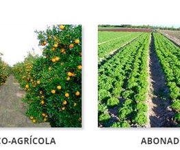 AGROMAINSAPORTADA.JPG