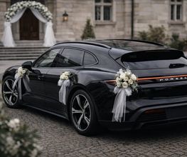 Wolf Executive Drive Bild 2