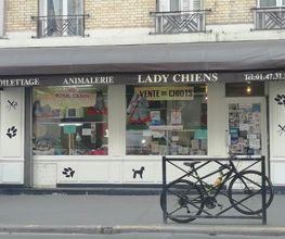 Lady Chiens image 7