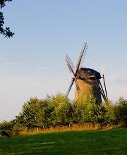 Hotel am Waldbad Bild 12