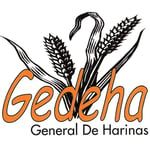 logo_gedeha.jpeg