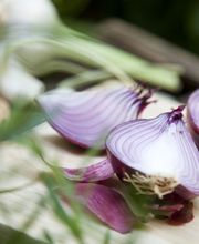 photograph.x GmbH Bild 5