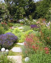 Hacker Jürgen Bild 5